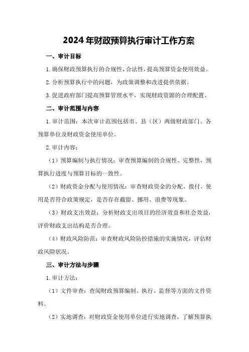 2024年财政预算执行审计工作方案