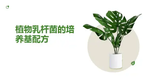 植物乳杆菌的培养基配方