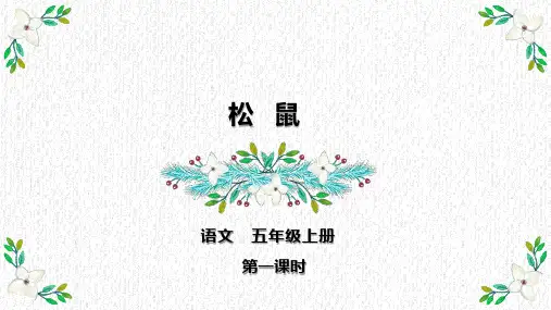 部编版语文五年级上册《17 松鼠》第一课时课件