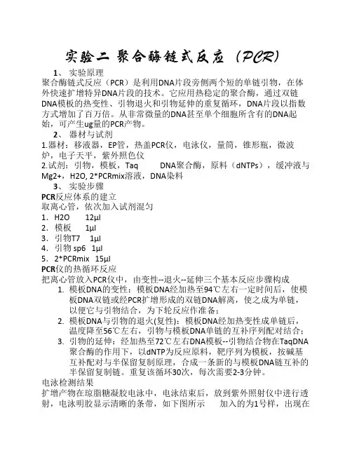 聚合酶链式反应PCR实验报告