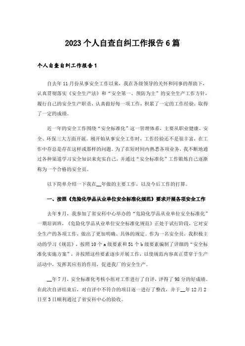 2023个人自查自纠工作报告6篇