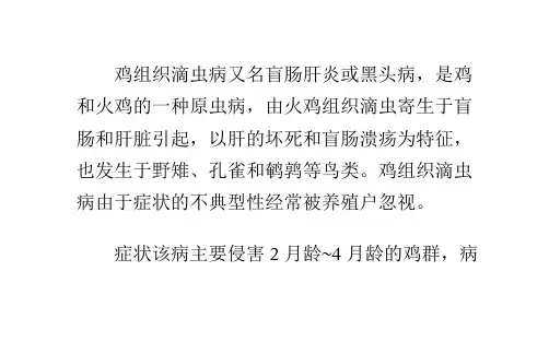 鸡组织滴虫病的诊断与防治