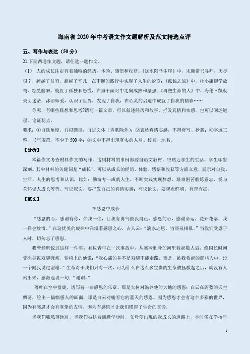 海南省2020年中考语文作文题解析及范文精选点评