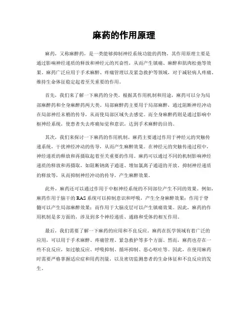 麻药的作用原理