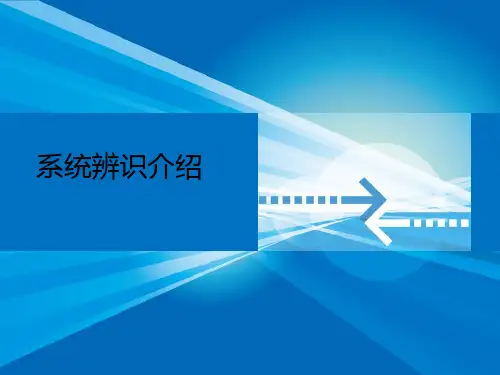 辨识系统