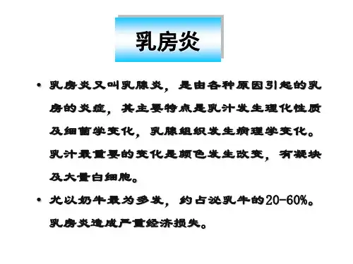 动物产科学：奶牛乳房炎