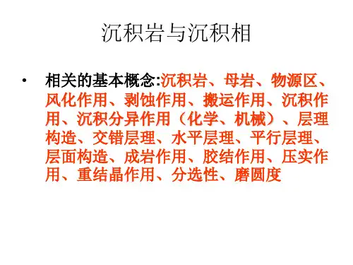 沉积岩与沉积相解析