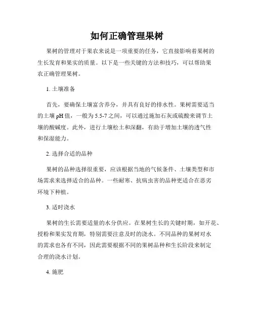 如何正确管理果树