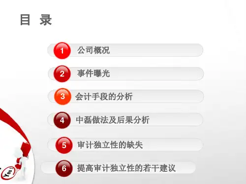 万福生科财务造假案例分析-文档资料