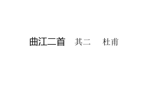 曲江二首    其二     杜甫