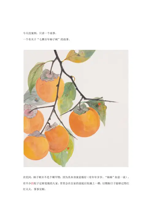 七棵百年柿子树的故事