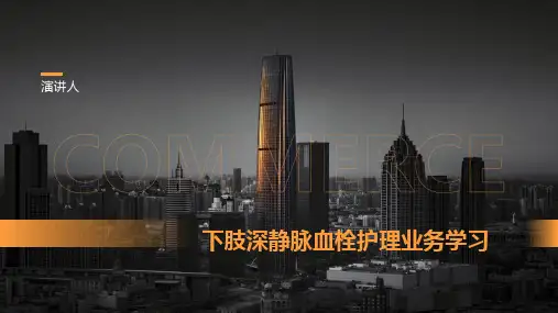 下肢深静脉血栓护理业务学习