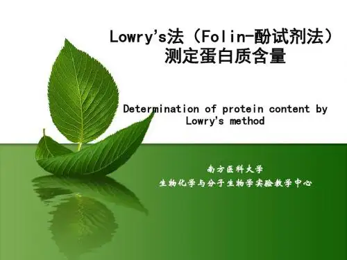 folin酚试剂法测定蛋白质含量