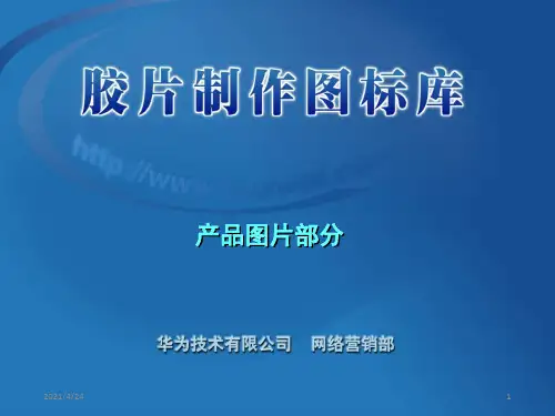 《公司产品》PPT课件