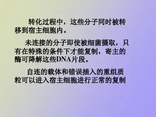 重组DNA导入受体细胞