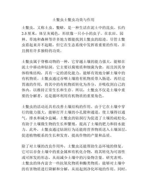 土鳖虫土鳖虫功效与作用