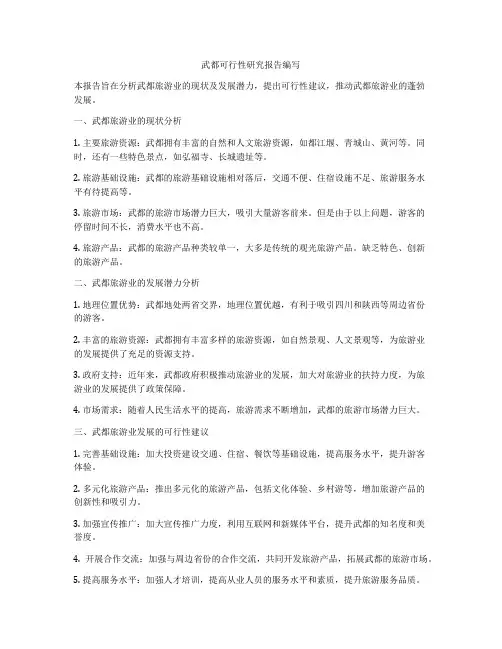 武都可行性研究报告编写