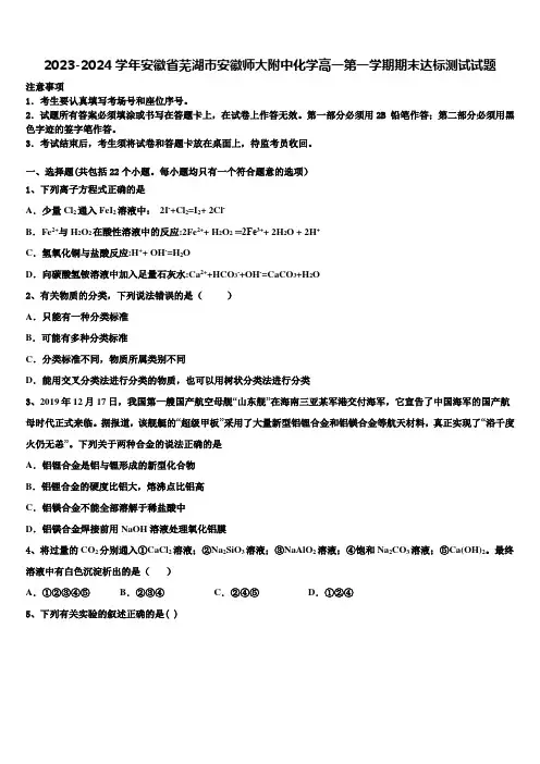 2023-2024学年安徽省芜湖市安徽师大附中化学高一第一学期期末达标测试试题含解析