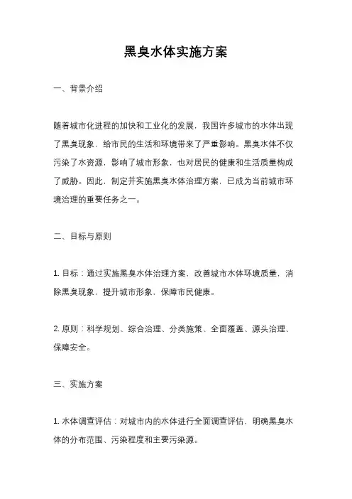 黑臭水体实施方案