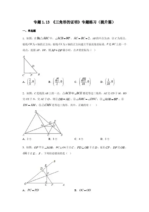 北师大版八年级数学下册《三角形的证明》专题练习(提升篇)八年级数学下册基础知识专项讲练(北师大版)
