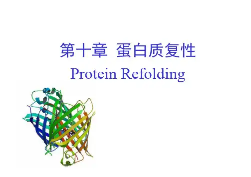 蛋白质复性ProteinRefolding