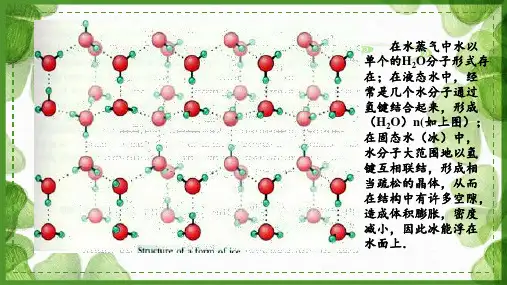 高中化学选修3第二章第三节《分子的性质》第三课时