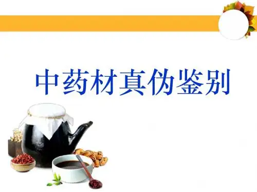 中药真伪鉴别  ppt课件