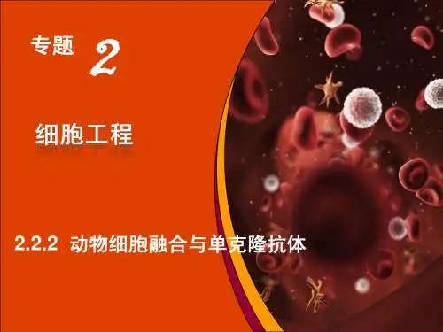 人教版教学课件2.2.2   动物细胞融合