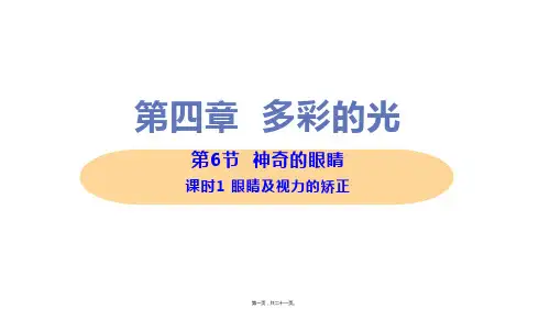 新沪科版八年级上册初中物理 第6节 神奇的眼睛(第1课时 眼睛及视力的矫正) 教学课件