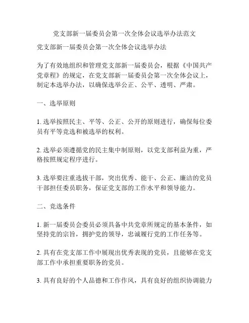 党支部新一届委员会第一次全体会议选举办法范文