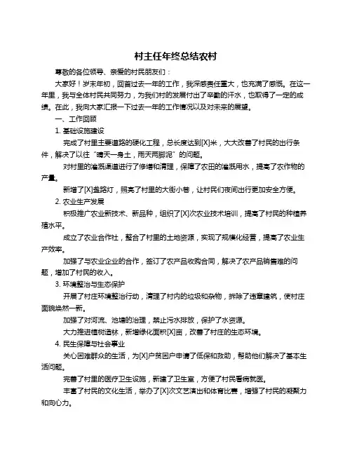村主任年终总结农村