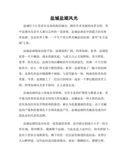 盐城盐湖风光