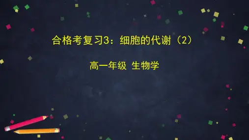 高一生物学人教版必修1合格考复习3细胞的代谢(2)