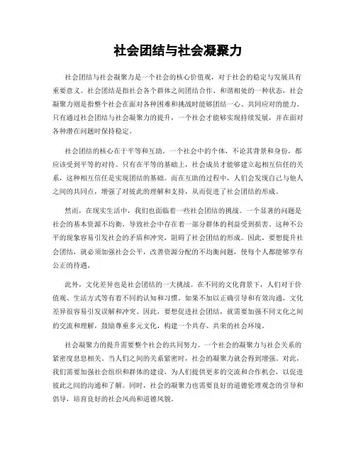 社会团结与社会凝聚力