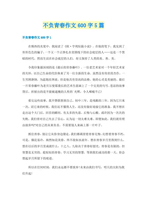 不负青春作文600字5篇