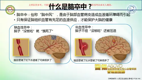 清晨血压和脑卒中课件