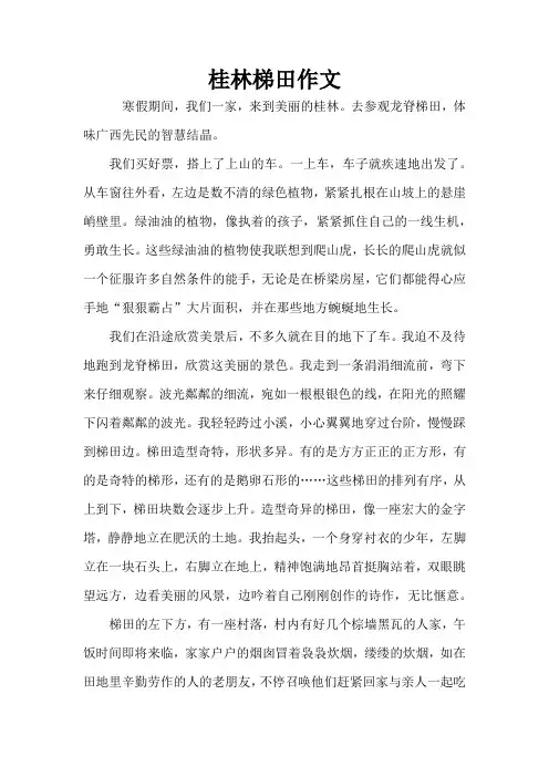 桂林梯田作文