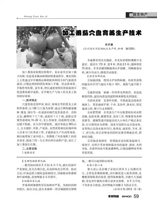 加工番茄穴盘青苗生产技术
