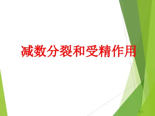 减数分裂动画全过程市公开课一等奖省赛课微课金奖课件