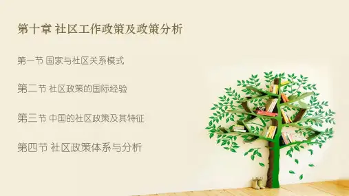 20第十章 社区工作政策及政策分析