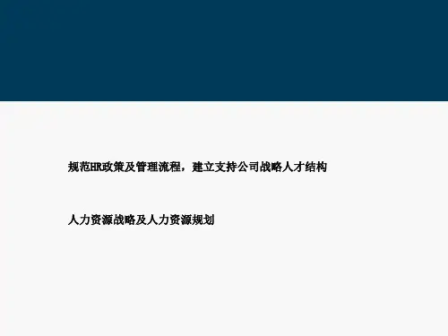 【实例】某软件公司人力资源战略及人力资源规划(ppt 45)
