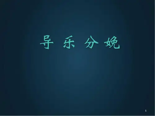 导乐分娩及导乐陪伴分娩工作常规PPT演示课件