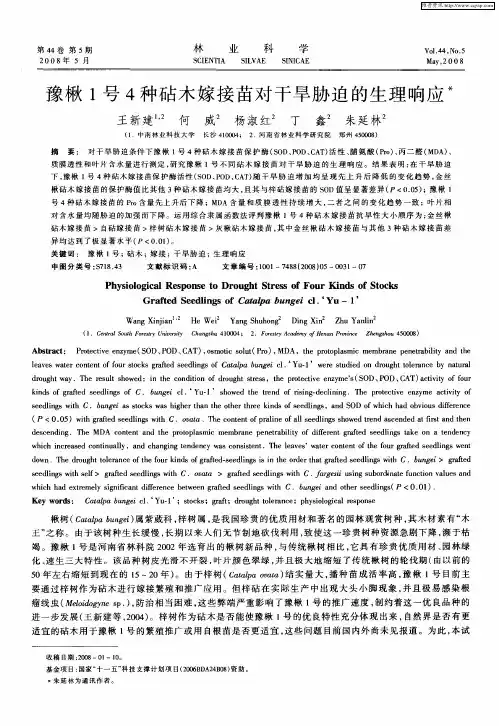 豫楸1号4种砧木嫁接苗对干旱胁迫的生理响应