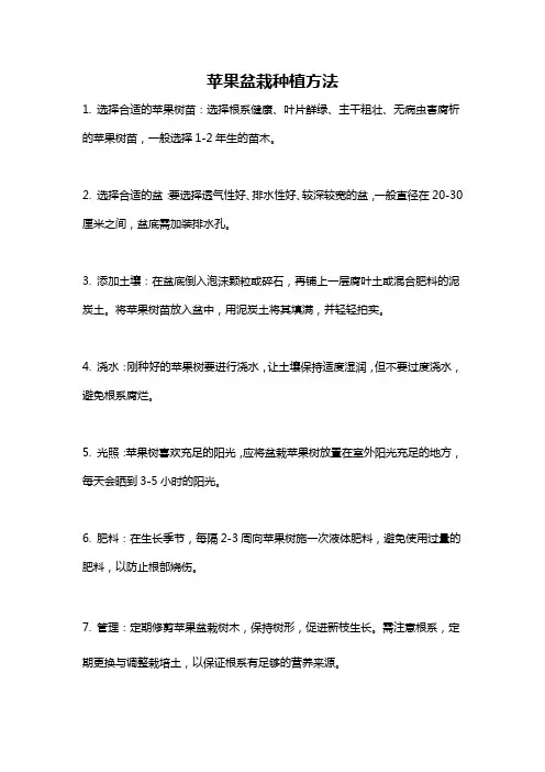 苹果盆栽种植方法