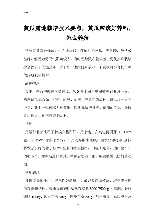 黄瓜露地栽培技术要点,黄瓜应该好养吗,怎么养殖