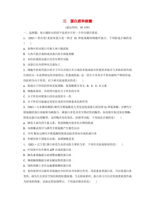 2025版高考生物一轮总复习课时质量评价3蛋白质和核酸