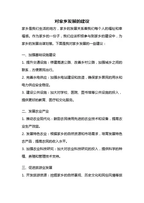 对家乡发展的建议