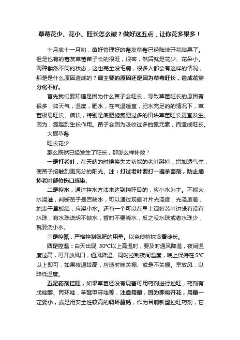 草莓花少、花小、旺长怎么破？做好这五点，让你花多果多！