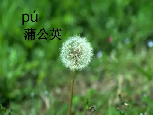 二年级上册_.植物妈妈有办法(修改)