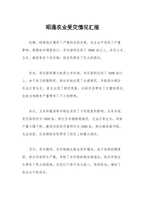 昭通农业受灾情况汇报